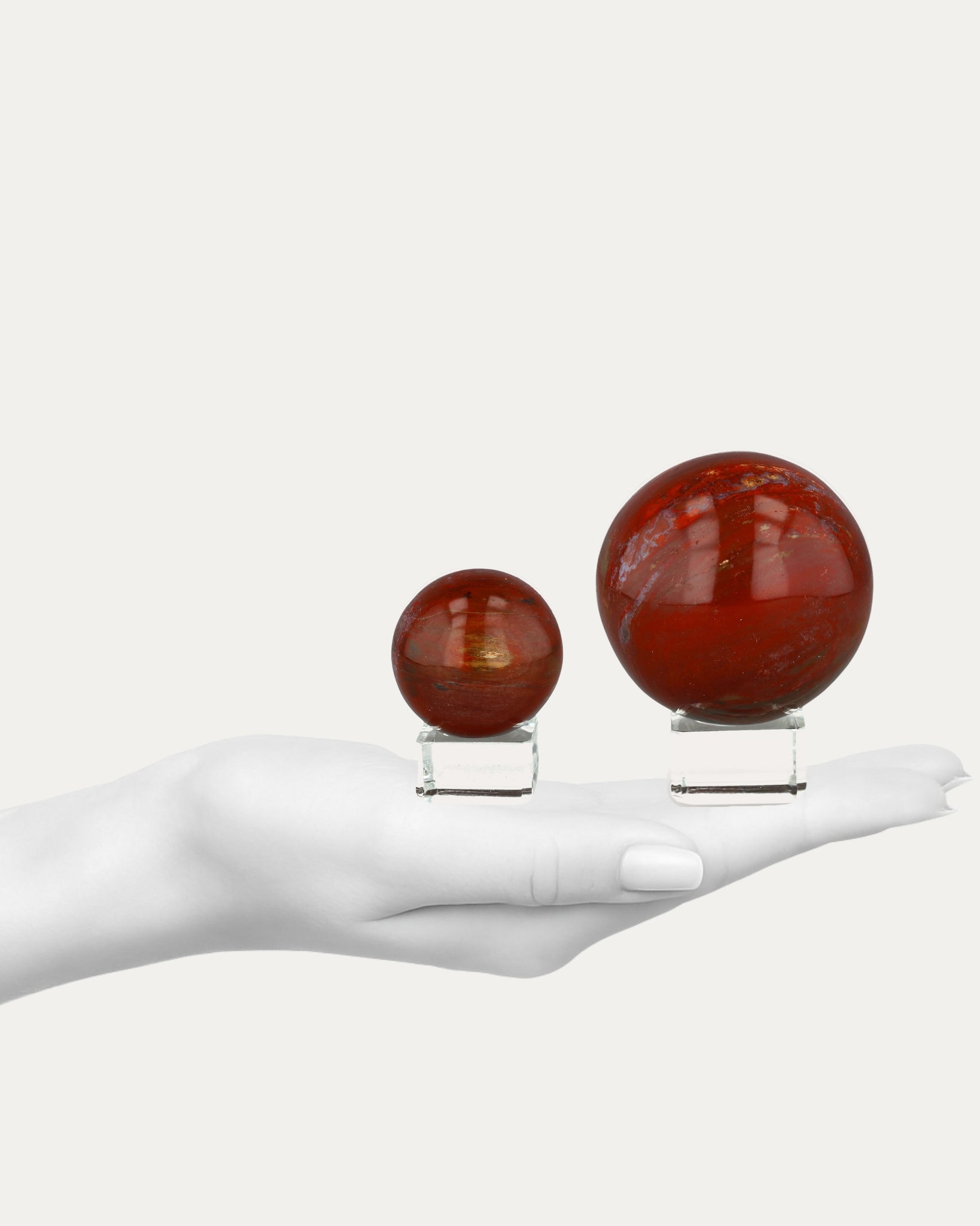 Petrified Wood Sphere