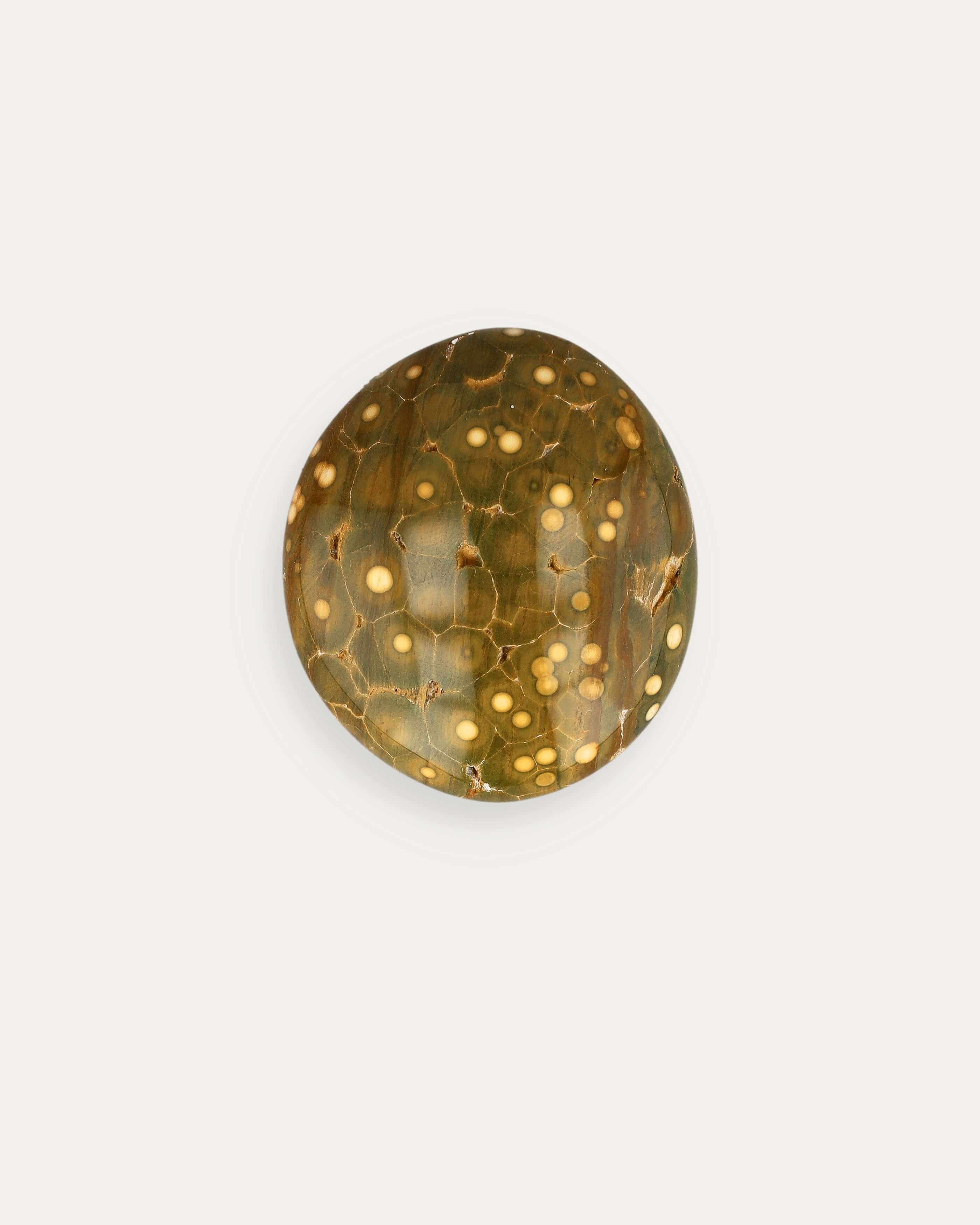 Kabamby Ocean Jasper Palm