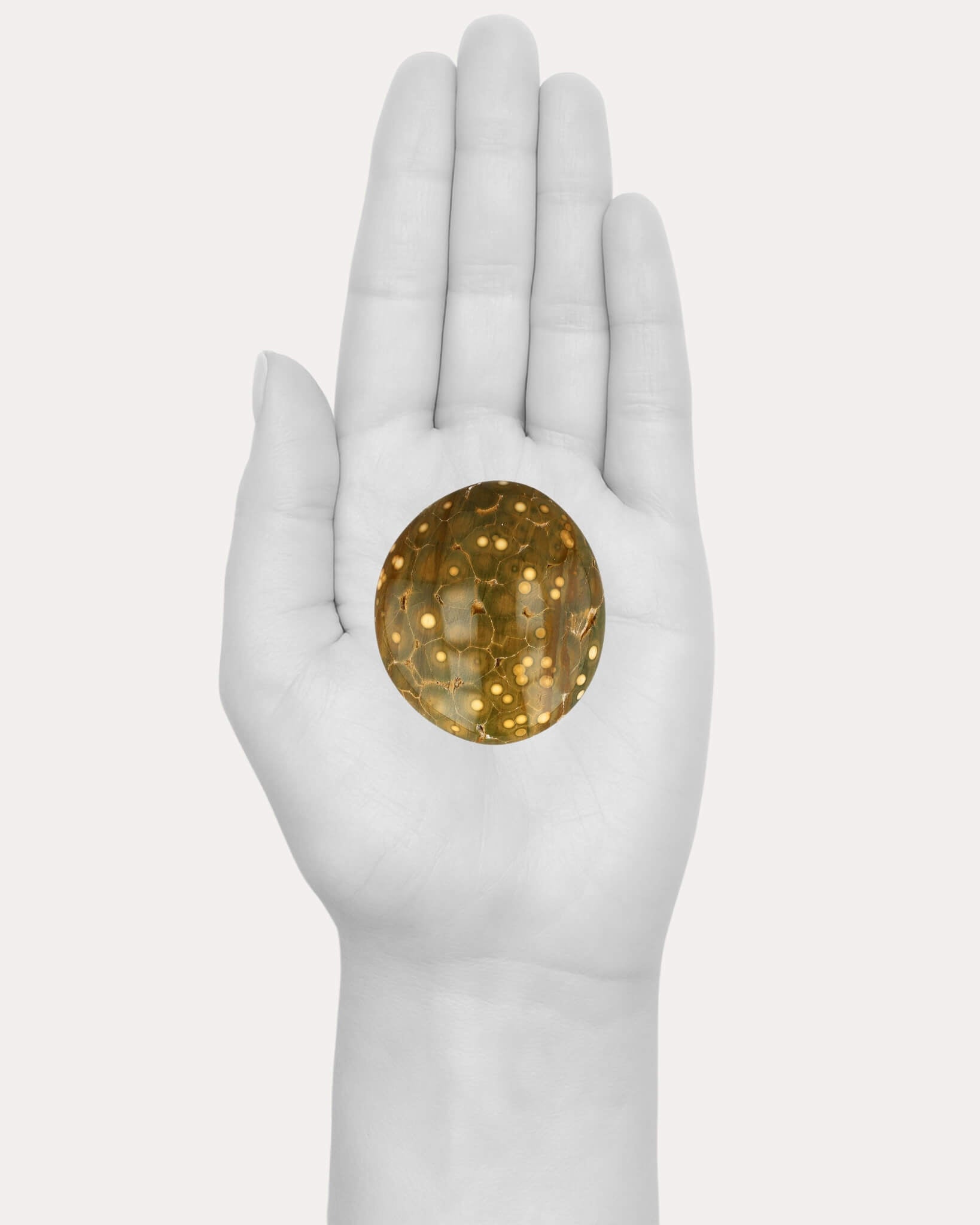 Kabamby Ocean Jasper Palm