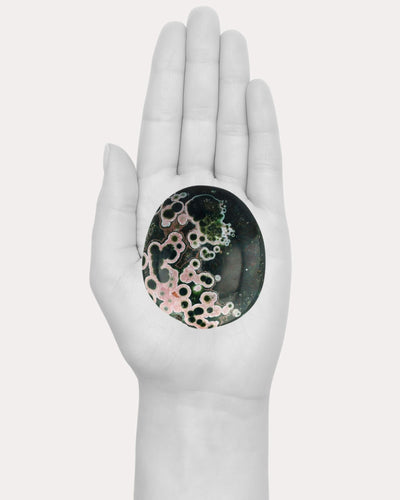 Kabamby Ocean Jasper Palm