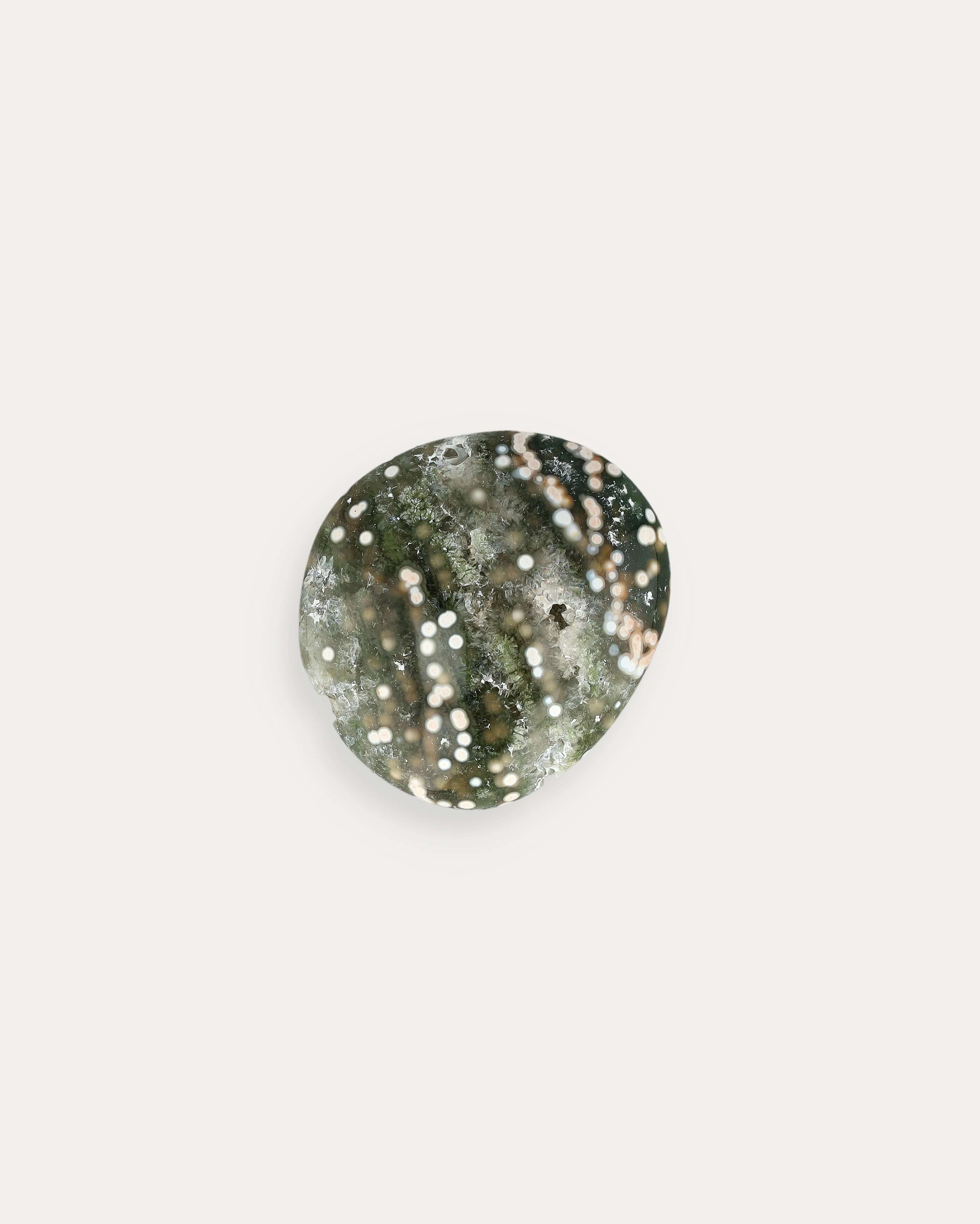 Ocean Jasper Palm