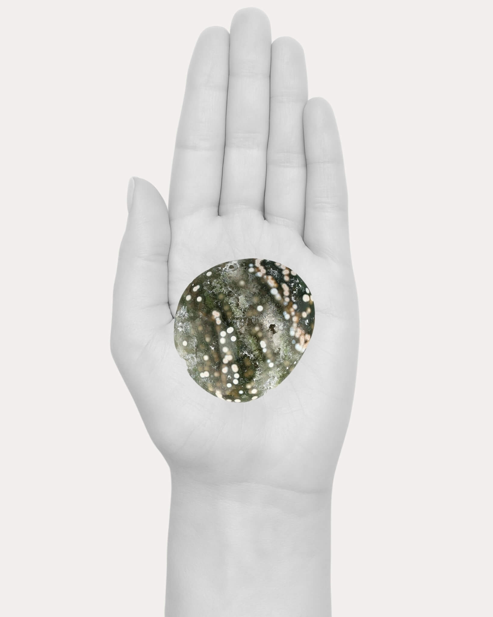 Ocean Jasper Palm