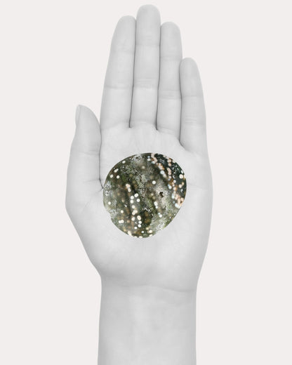 Ocean Jasper Palm