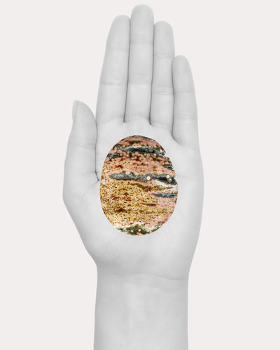 Ocean Jasper Palm
