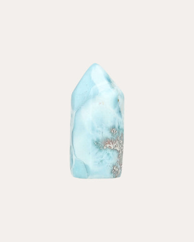 Larimar Point - 28