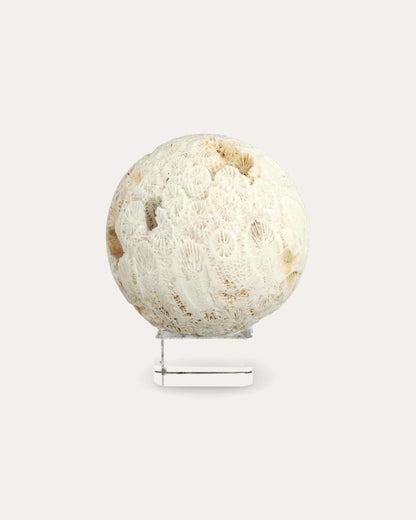 Coral Sphere