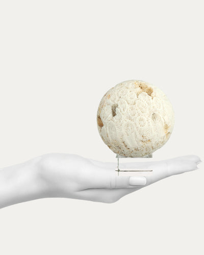 Coral Sphere