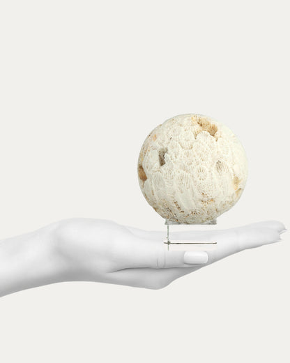 Coral Sphere