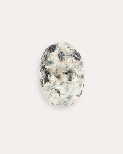 Sapphire Palm Stone - 30B