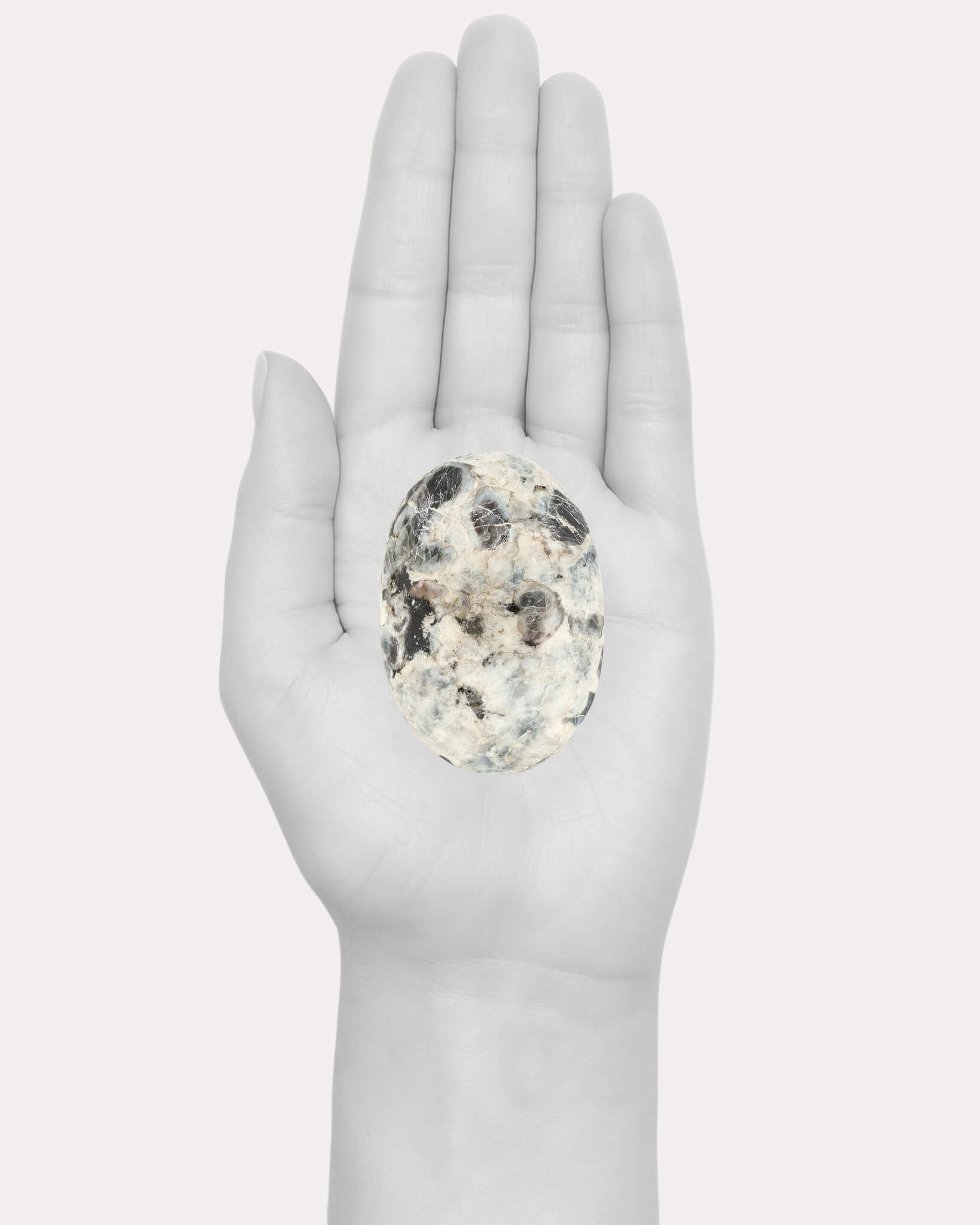 Sapphire Palm Stone - 30B