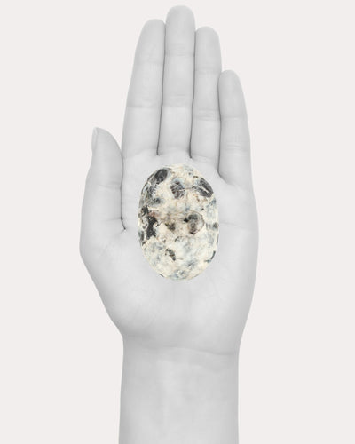 Sapphire Palm Stone - 30B