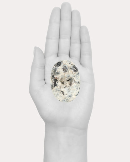 Sapphire Palm Stone - 30B