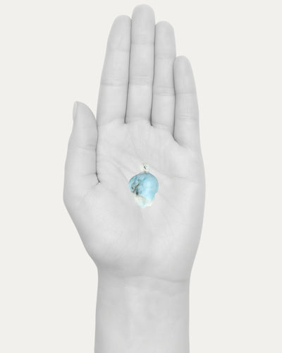 Larimar Turtle - 25C