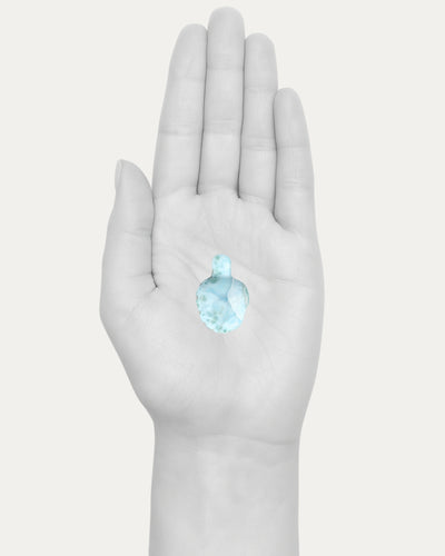 Larimar Turtle - 33B