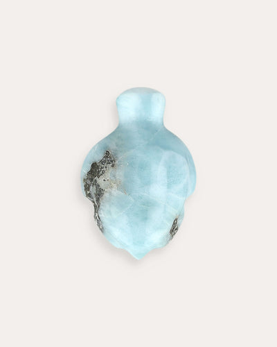 Larimar Turtle - 33D