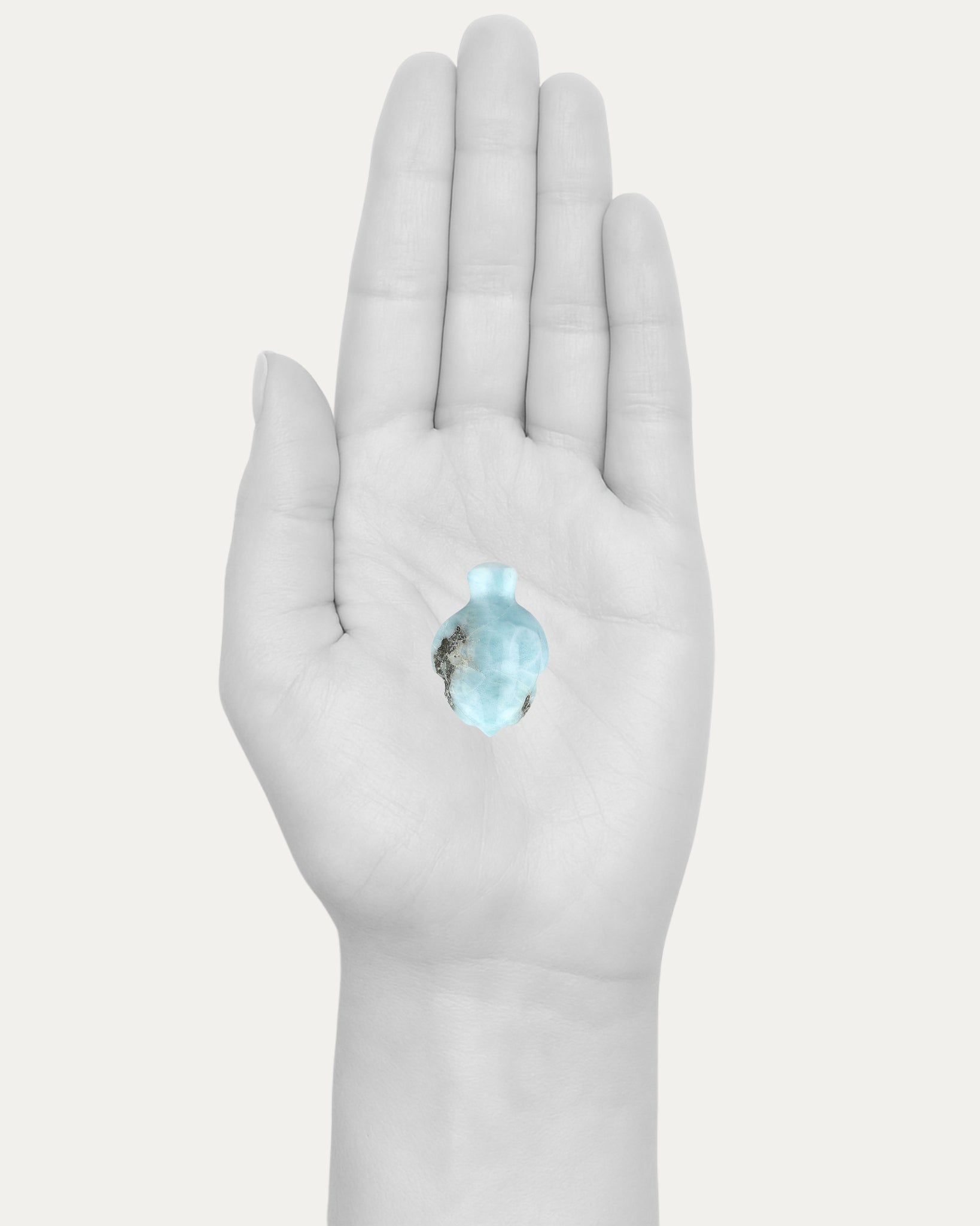 Larimar Turtle - 33D