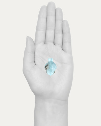 Larimar Turtle - 33D