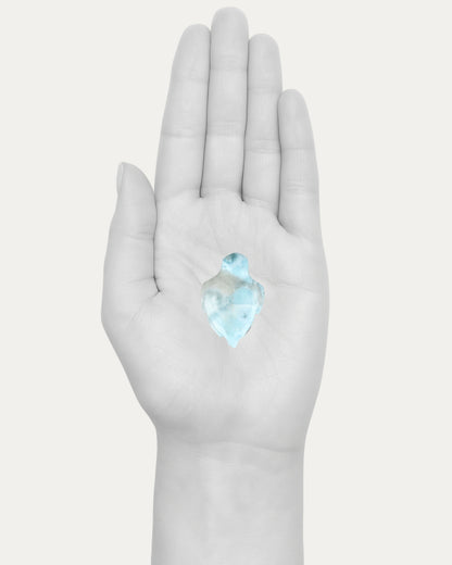 Larimar Turtle - 33i