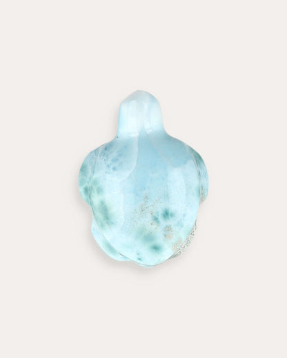Larimar Turtle - 33N