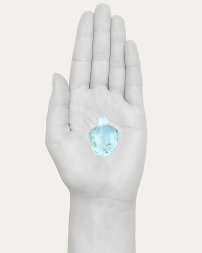 Larimar Turtle - 33N