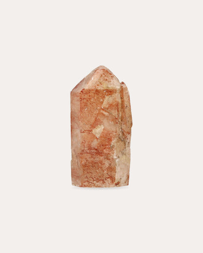 Red Dragon Lemurian Tower - 22