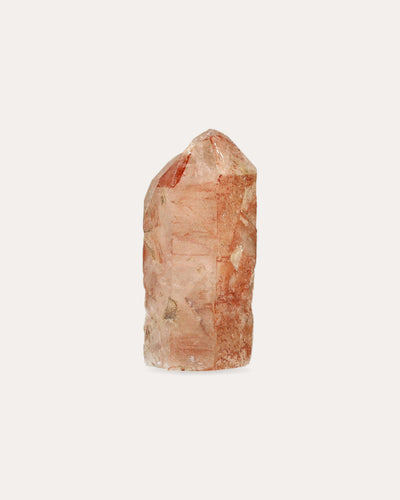 Red Dragon Lemurian Tower - 22