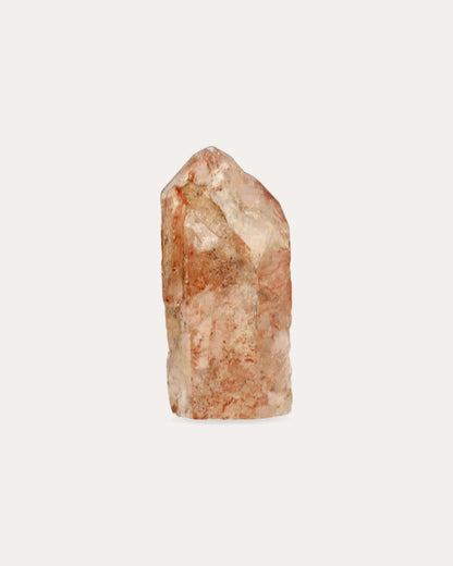 Red Dragon Lemurian Tower - 22
