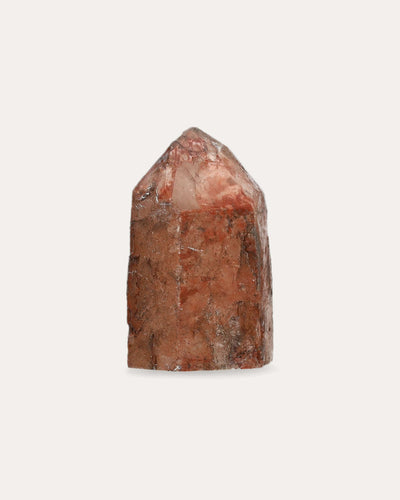 Red Dragon Lemurian Tower - 21