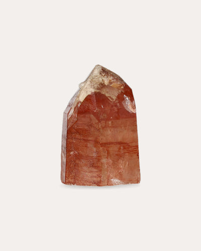 Red Dragon Lemurian Tower - 20