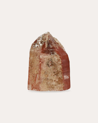 Red Dragon Lemurian Tower - 20