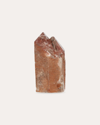 Red Dragon Lemurian Tower - 24