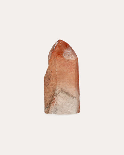 Red Dragon Lemurian Tower - 11