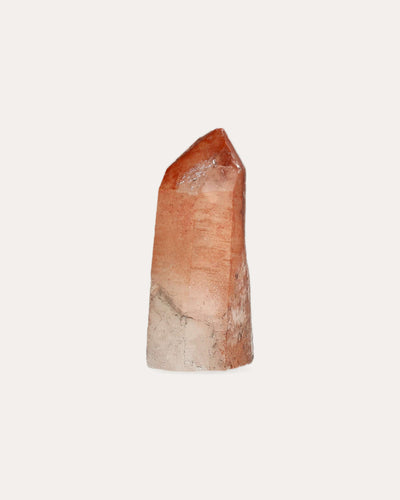 Red Dragon Lemurian Tower - 11