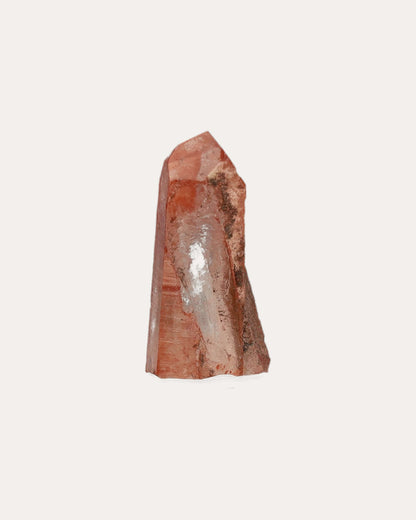 Red Dragon Lemurian Tower - 8
