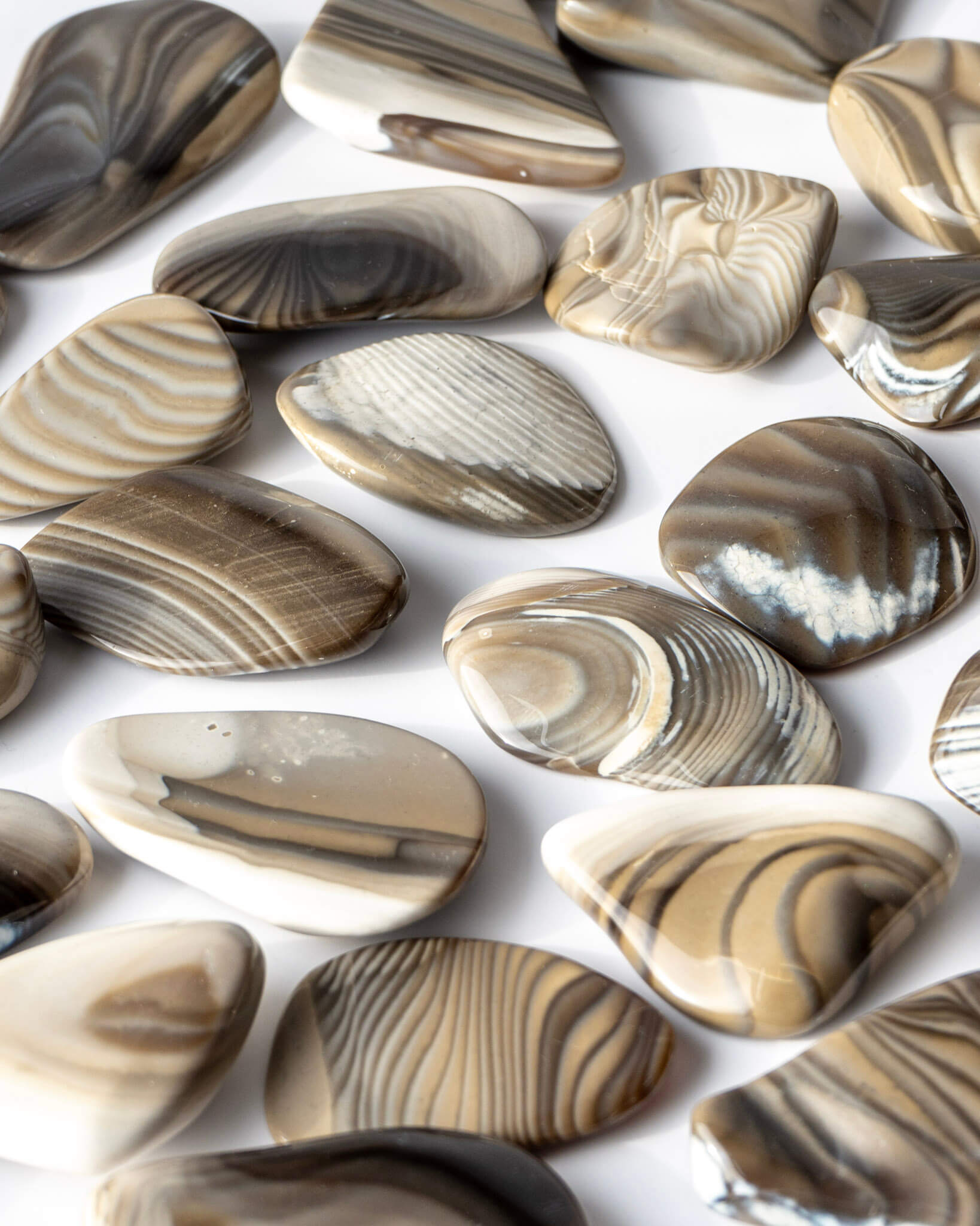 Flint Palm Stone Healing Crystal