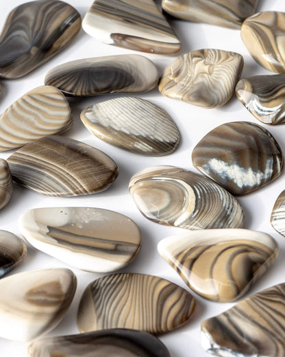 Flint Palm Stone Healing Crystal