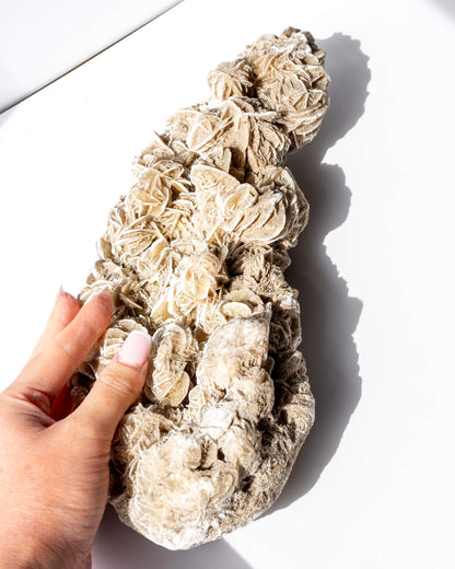 Desert Rose Cluster Healing Crystal