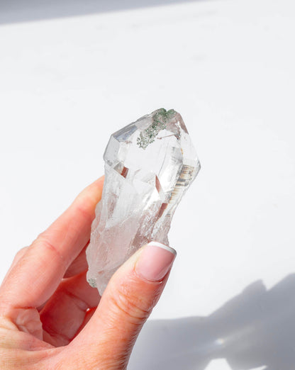 Himalayan Quartz With Chlorite - 31NN