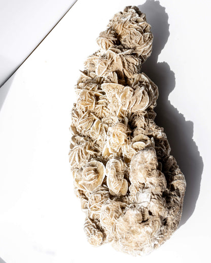 Desert Rose Cluster Healing Crystal