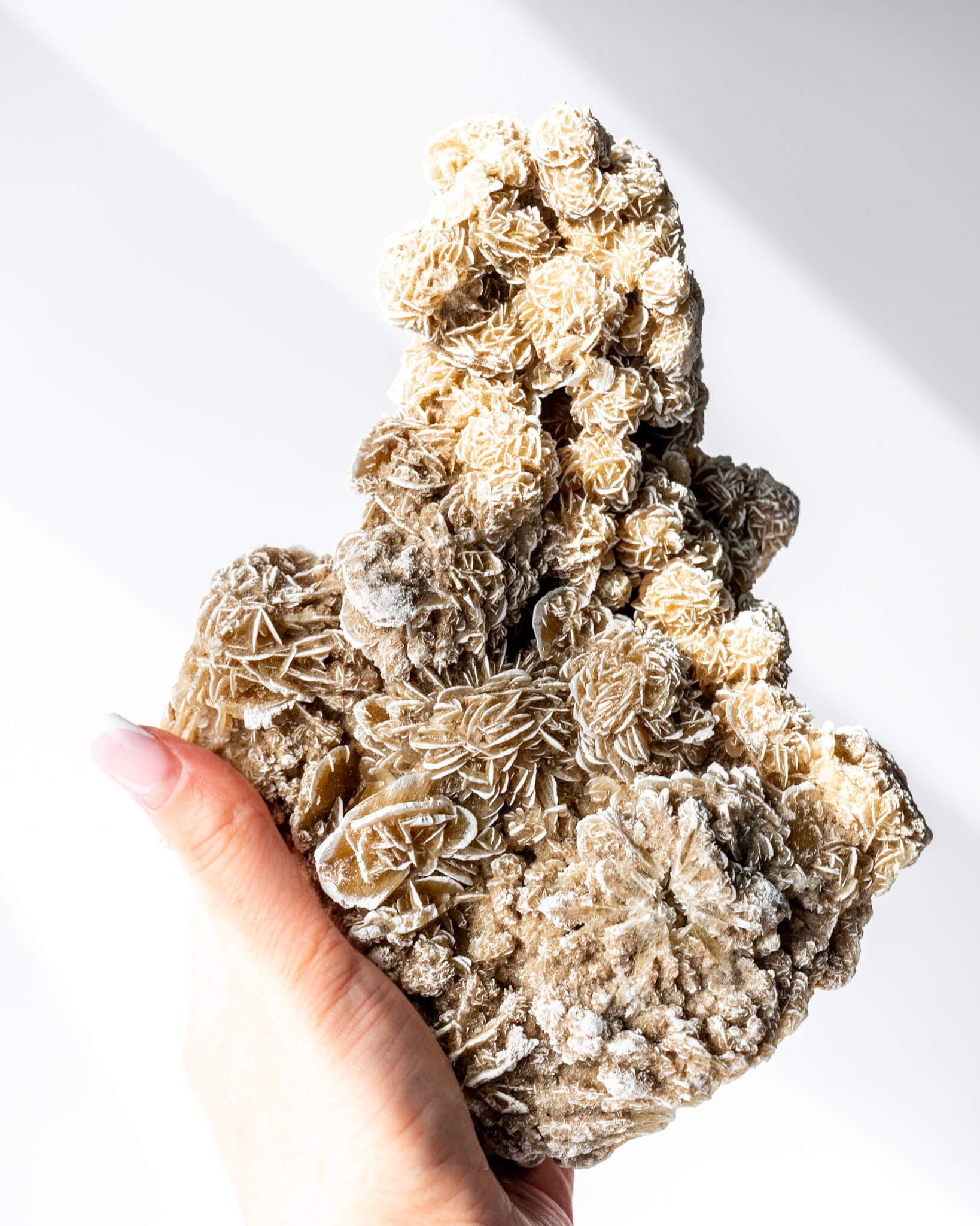 Desert Rose Cluster Healing Crystal