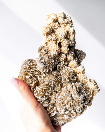 Desert Rose Cluster Healing Crystal