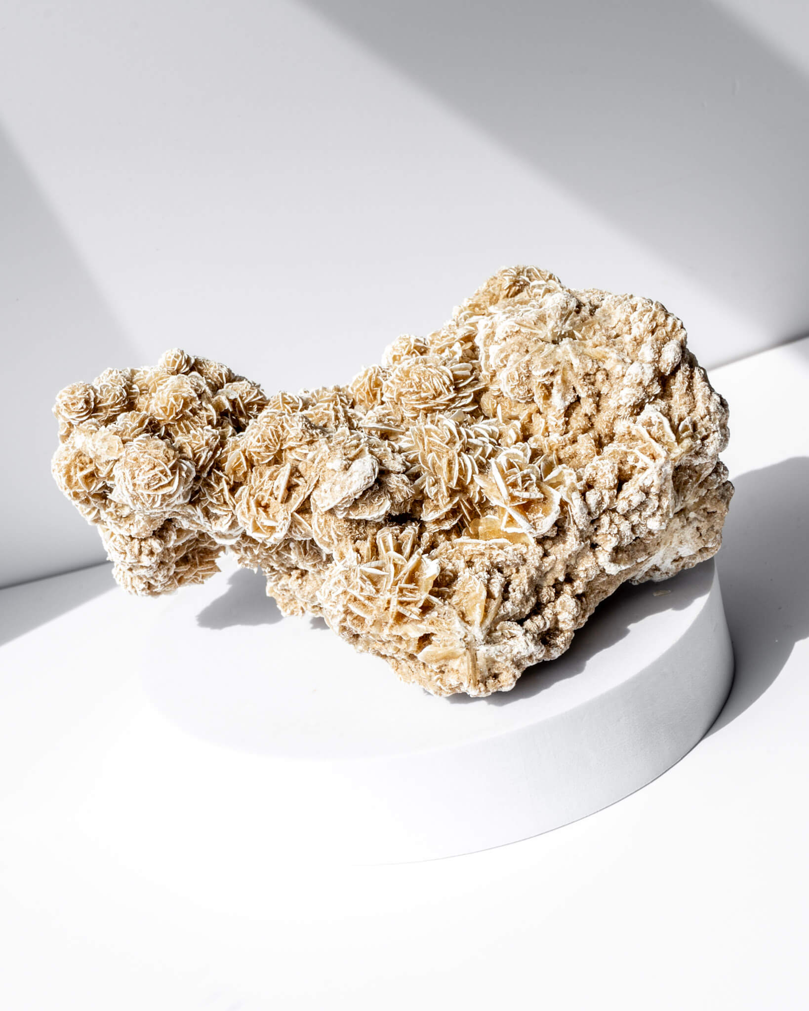 Desert Rose Cluster Healing Crystal