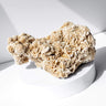 Desert Rose Cluster Healing Crystal