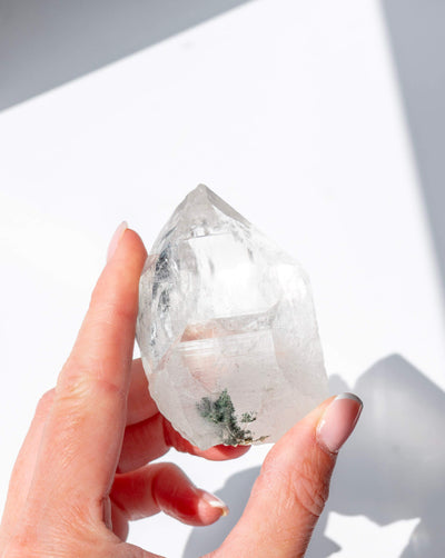Himalayan Quartz With Chlorite - 36N