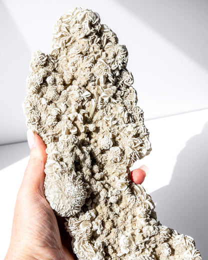 Desert Rose Cluster Healing Crystal