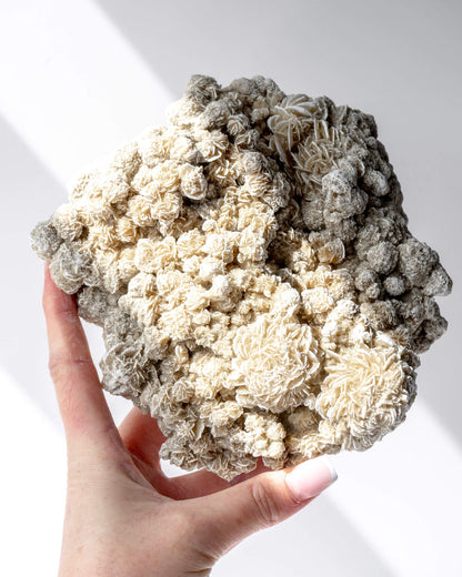 Desert Rose Cluster Healing Crystal