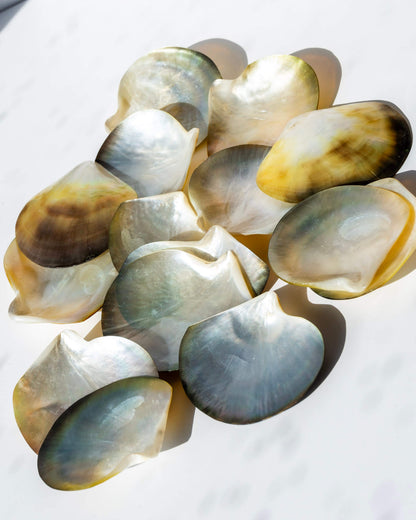 Black Mother of Pearl Shell Healing Crystal