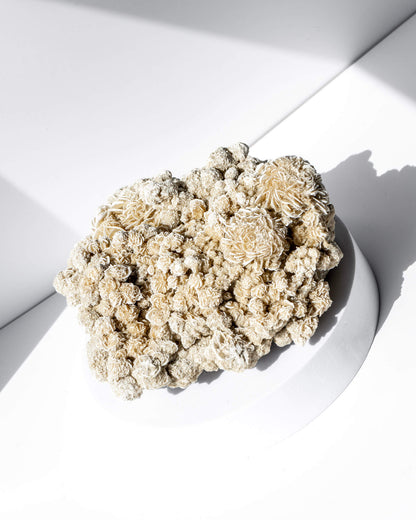 Desert Rose Cluster Healing Crystal