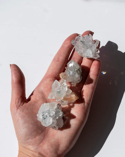 Apophyllite Clusters