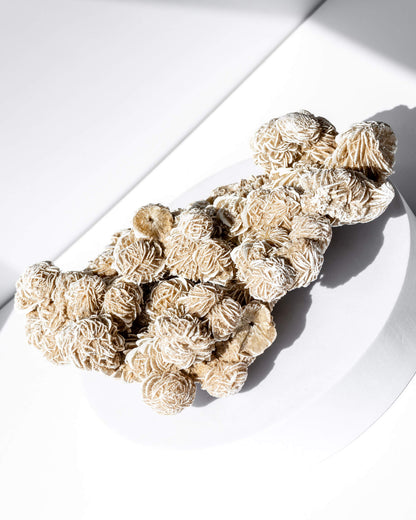 Desert Rose Cluster Healing Crystal